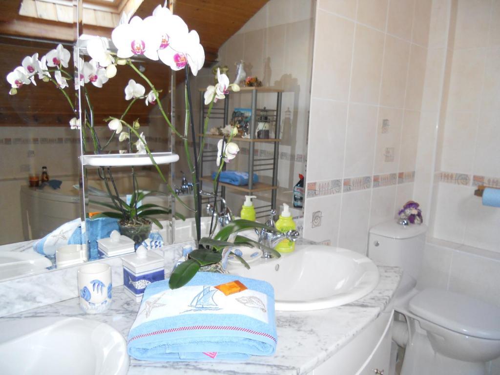 Les Hirondelles Chambres D'Hotes Serres  Zewnętrze zdjęcie